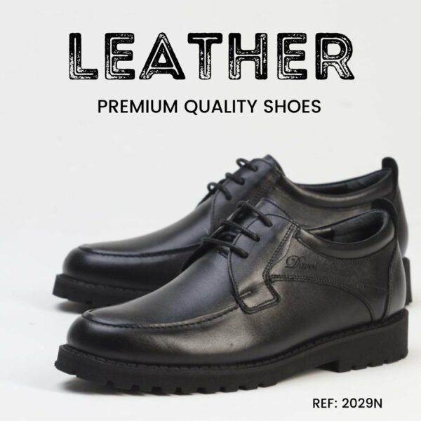 Chaussures Hommes (RÉF : DV_2029N)