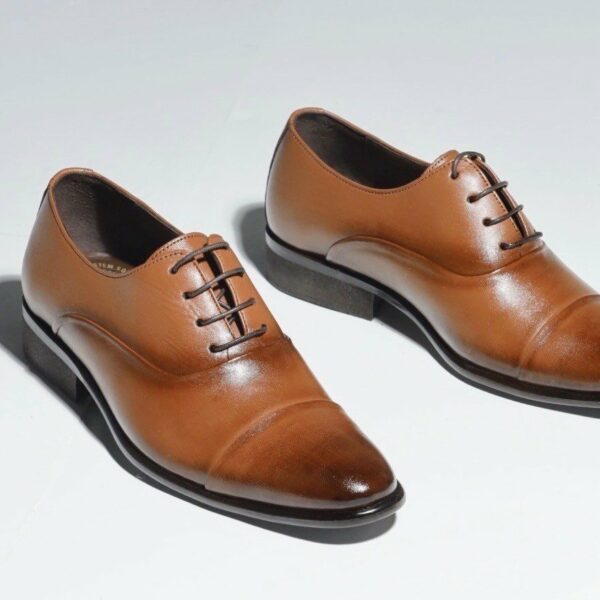 Oxford Marron (RÉF : DV_2025W) – Image 3