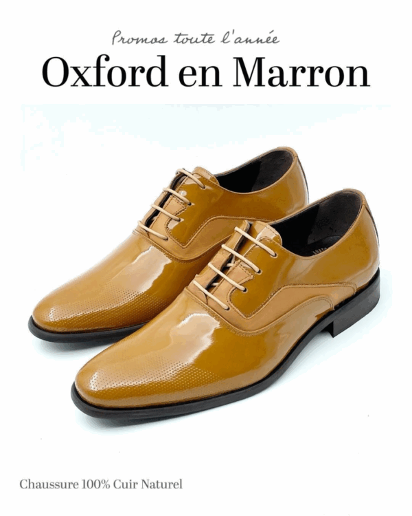 Oxford Marron (RÉF : DV_893W)